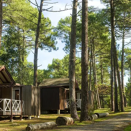 Vtf Les Oyats Sylvadoures Holiday park