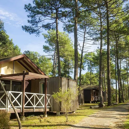 Vtf Les Oyats Sylvadoures Holiday park Maubuisson
