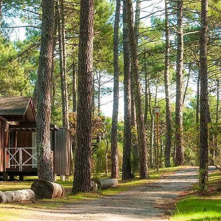 Vtf Les Oyats Sylvadoures 2* Maubuisson