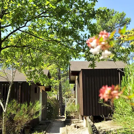 Vtf Les Oyats Sylvadoures Holiday park 2*