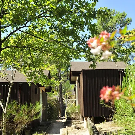 Vtf Les Oyats Sylvadoures Kompleks wypoczynkowy 2*