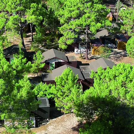 Vtf Les Oyats Sylvadoures Holiday park Maubuisson