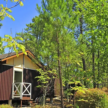 Vtf Les Oyats Sylvadoures 2* Maubuisson