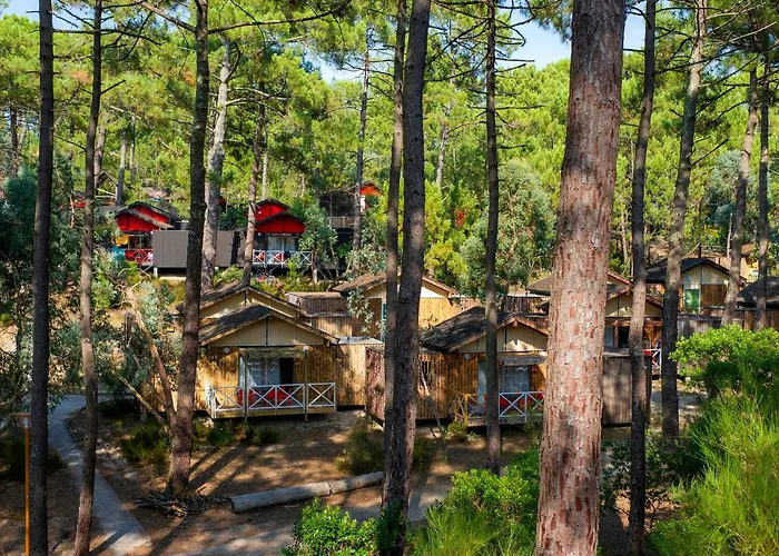 Vtf Les Oyats Sylvadoures Vakantiepark