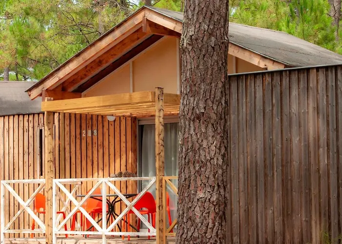 Vakantiepark Vtf Les Oyats Sylvadoures