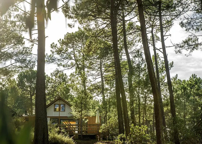 Vtf Les Oyats Sylvadoures 2* Maubuisson