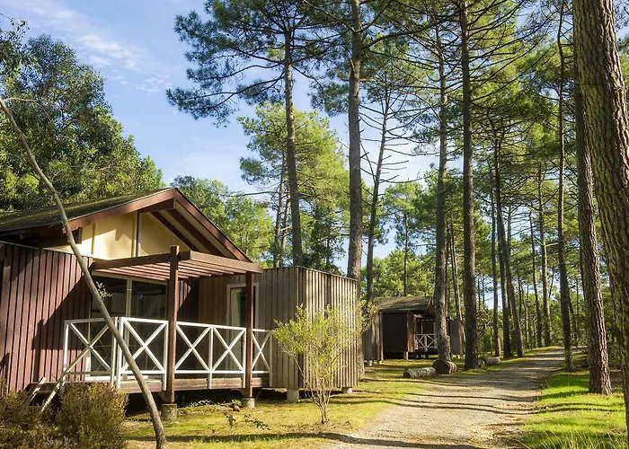 Vtf Les Oyats Sylvadoures Vakantiepark Maubuisson