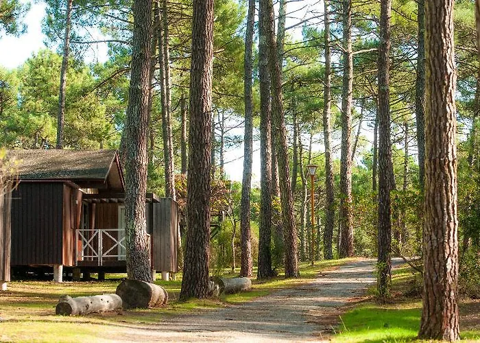 Vtf Les Oyats Sylvadoures 2* Maubuisson