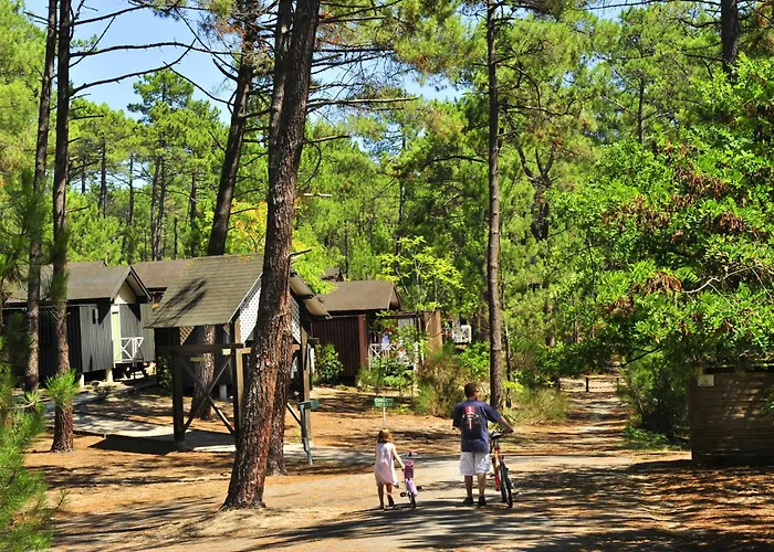 Vtf Les Oyats Sylvadoures Vakantiepark Maubuisson