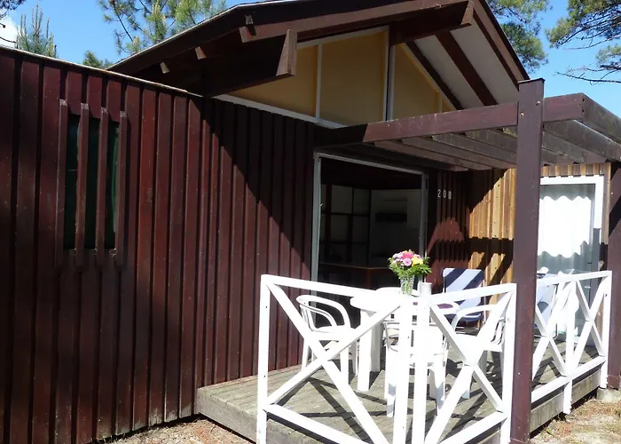 Vtf Les Oyats Sylvadoures