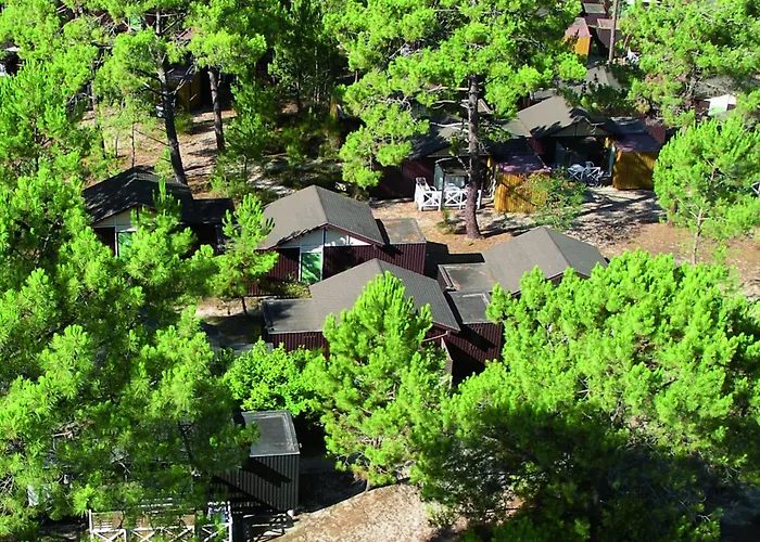 Vtf Les Oyats Sylvadoures Πάρκο διακοπών Maubuisson