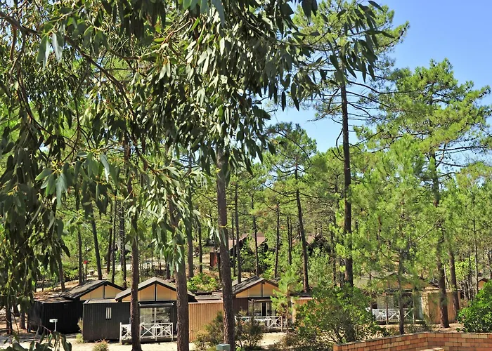 Vtf Les Oyats Sylvadoures Vakantiepark 2*