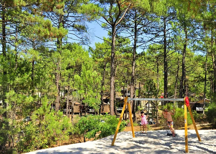 Vakantiepark Vtf Les Oyats Sylvadoures Maubuisson