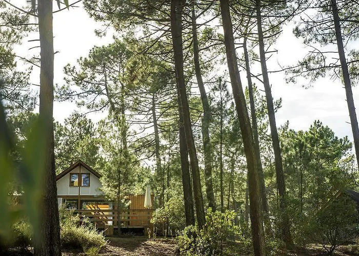 Vtf Les Oyats Sylvadoures