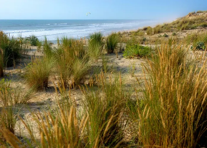 Vtf Les Oyats Sylvadoures Vakantiepark 2*